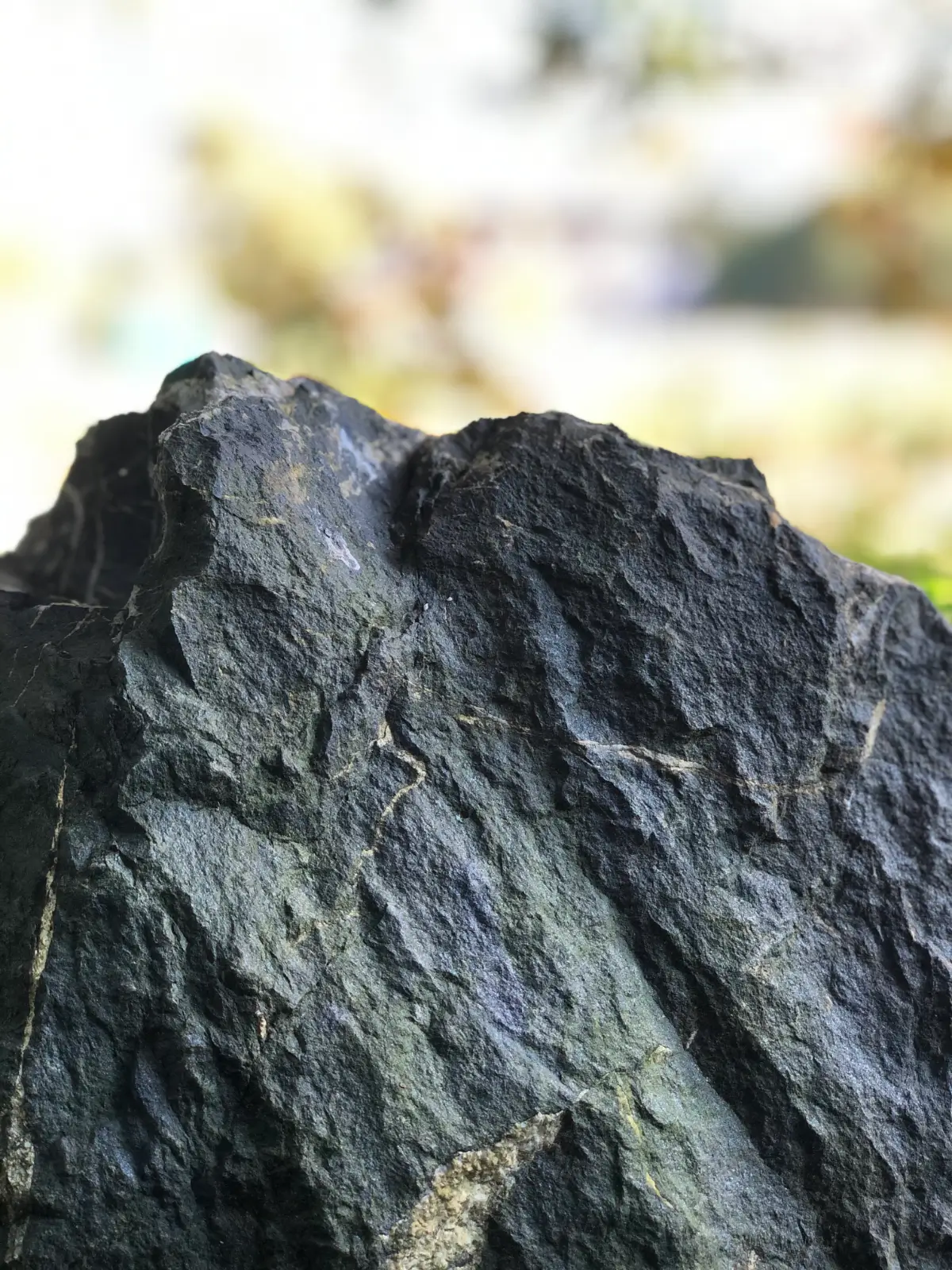 Rinzai Zen Immenstadt